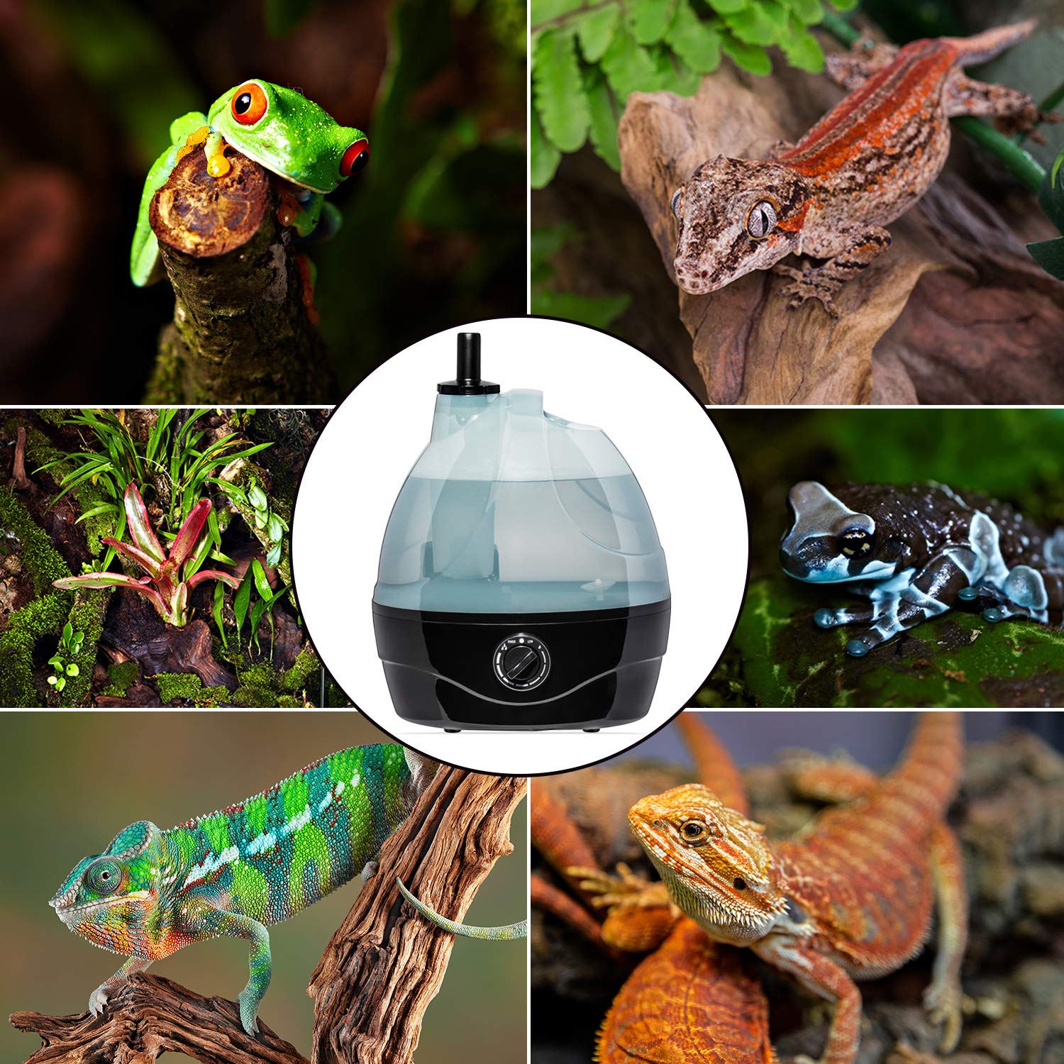 Evergreen Pet Supplies reptile fogger consistent mist creates comfortable microclimates for reptiles