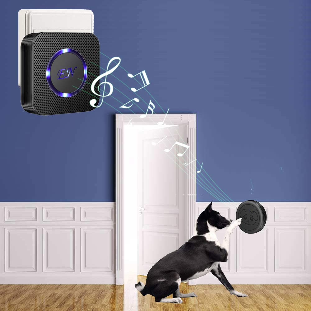 EverNary dog door bell transmitter on door for easy training cues.