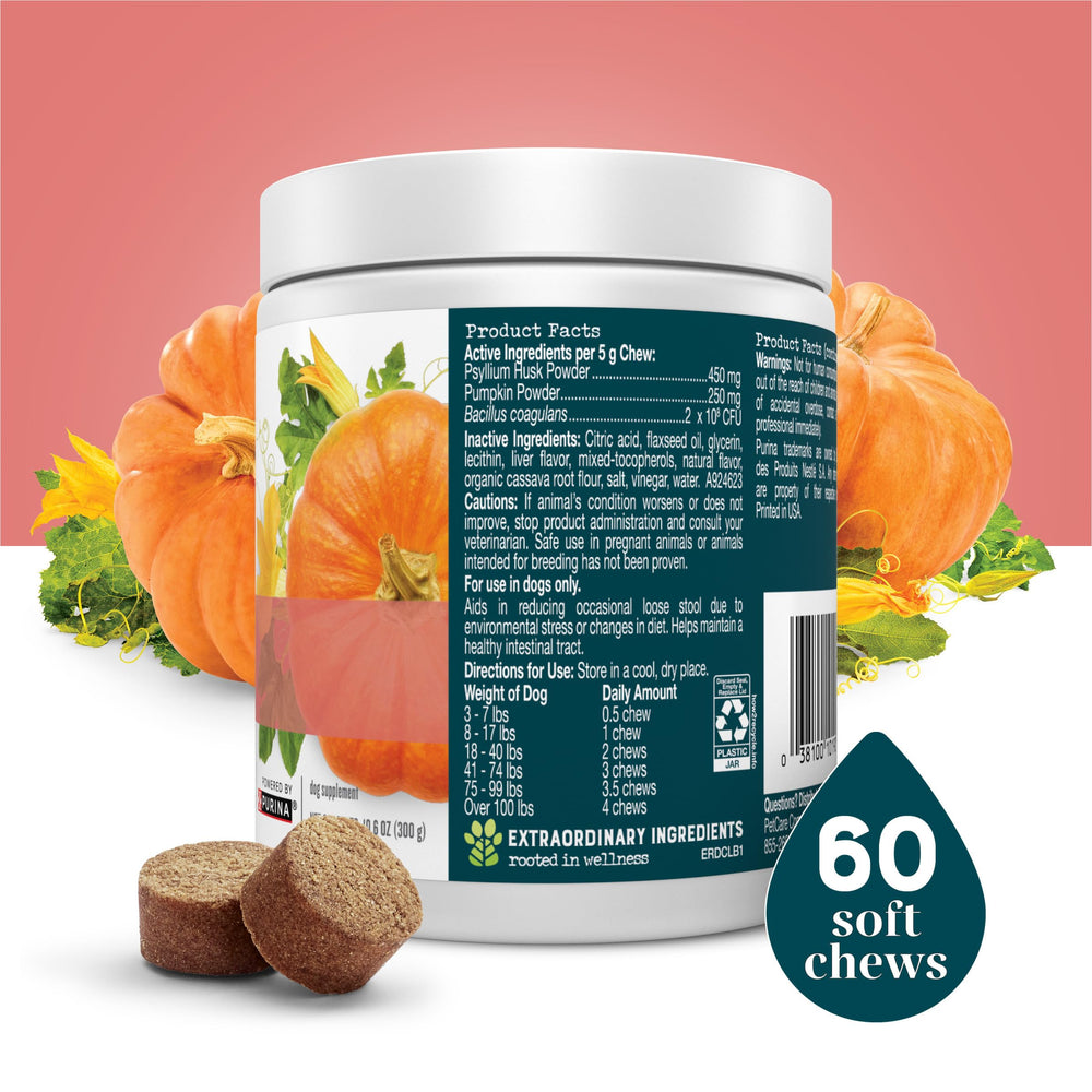 EverRoot Digestion Soft Chews dog enjoying treat during daily wellness routine.