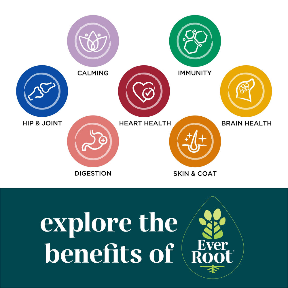 EverRoot dog supplement formulated by a PhD in animal nutrition.