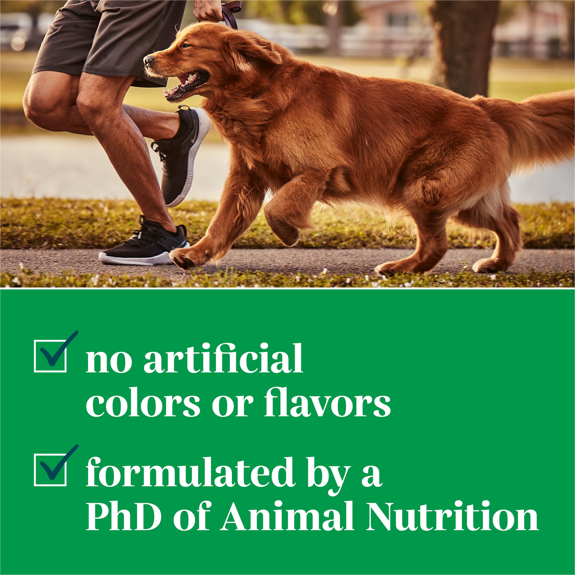 EverRoot chews with spirulina supporting immune response and natural antibodies.