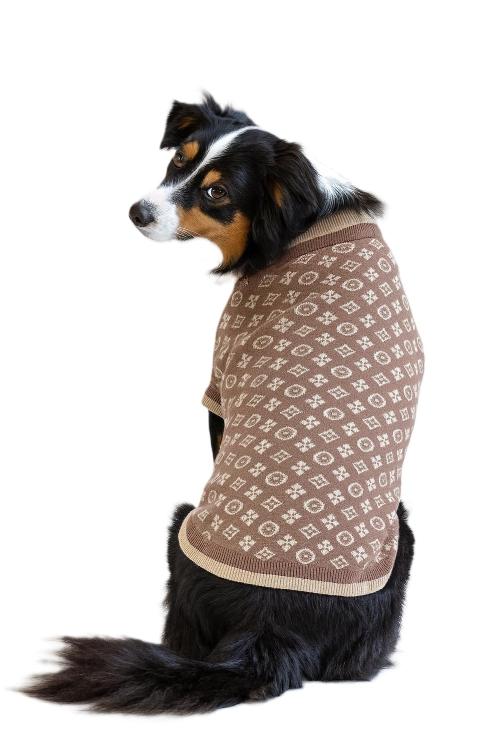 Everything Chic Luxury Dog Sweater fabric-closeup reveals plush knit texture and quality finish