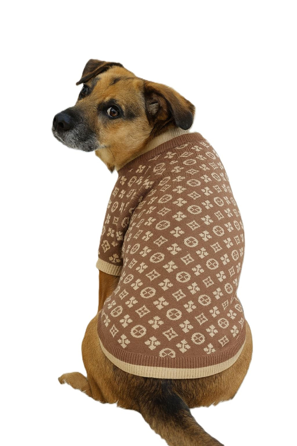 Everything Chic luxury dog sweater holiday-ready look for festive gifting