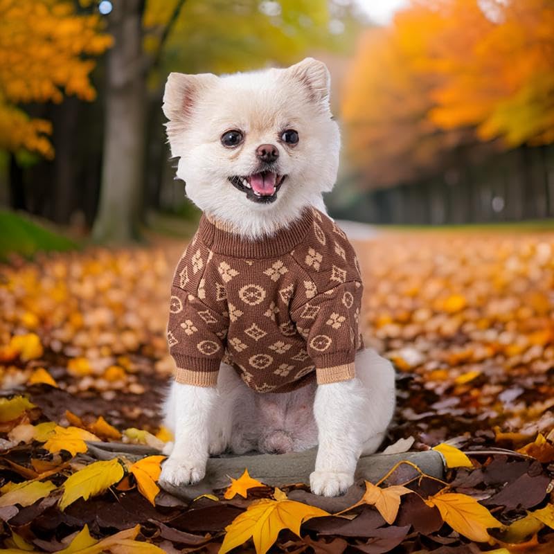 Everything Chic luxury dog sweater model wearing cocoa knit for everyday warmth