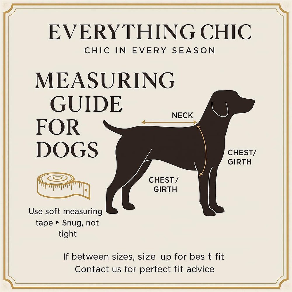 Everything Chic Luxury Dog Sweater style shot demonstrates versatile wear for small breeds