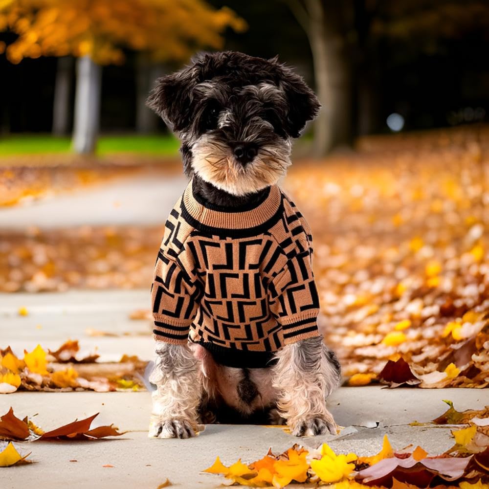 Everything Chic Luxury Dog Sweater worn by puppy for stylish lounging