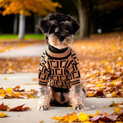Everything Chic Luxury Dog Sweater worn by puppy for stylish lounging