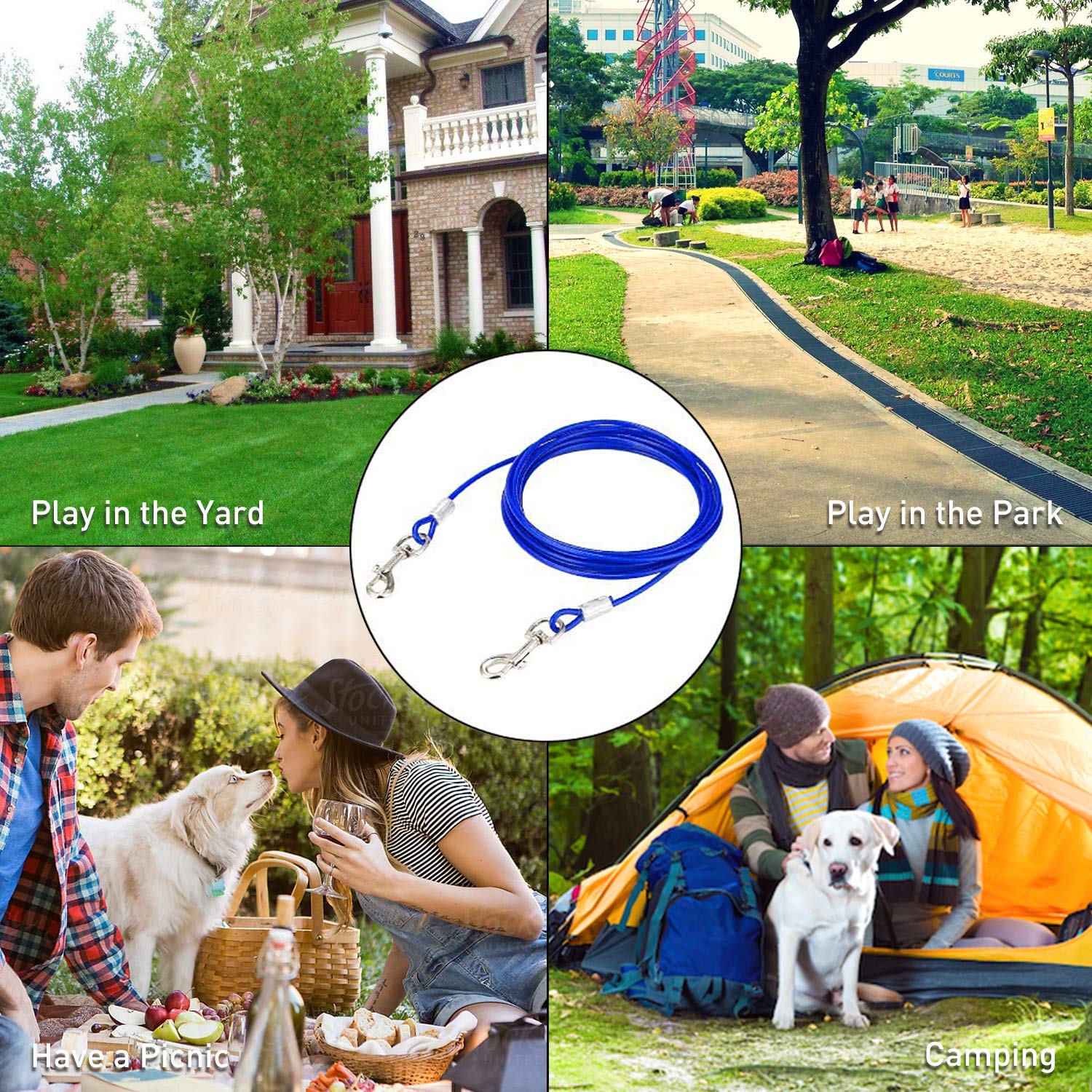 Evilplan outdoor dog setup ideal for yard, park, or camping.