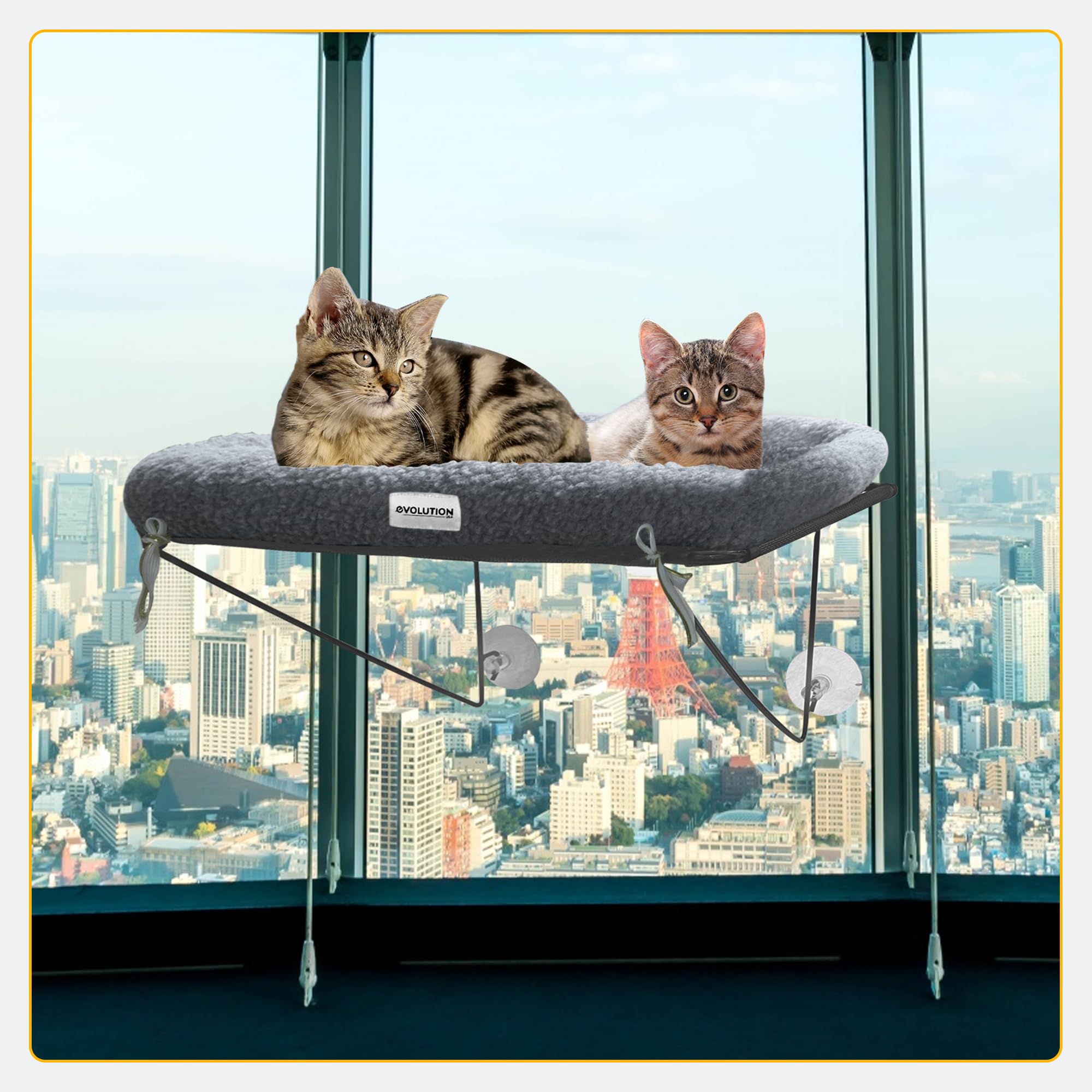 EvolutionUSA uso diario para gatos grandes, cama elevada para ventana.