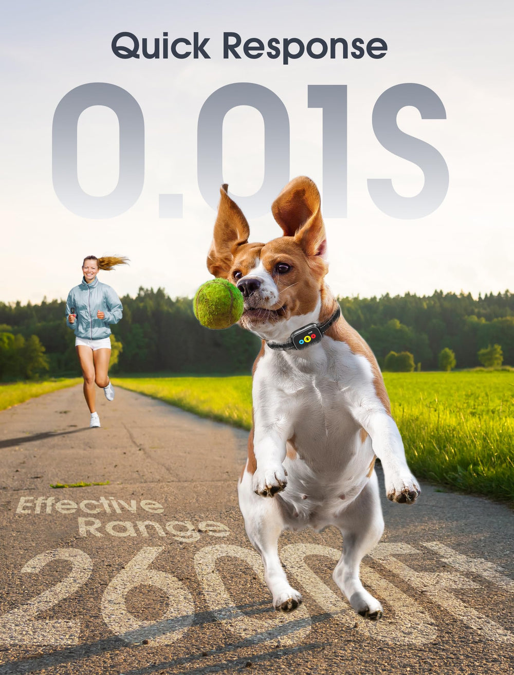 Evuime compact dog collar design reduces neck burden for long wear.