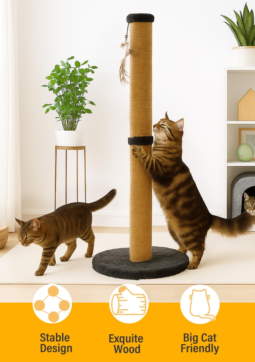 Ewenono cat scratcher with four replaceable hanging toys for interactive play