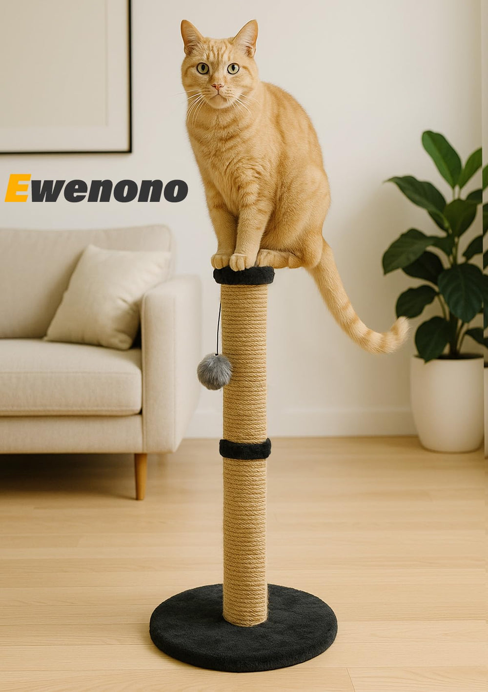 Ewenono replacement pendant set for continued play
