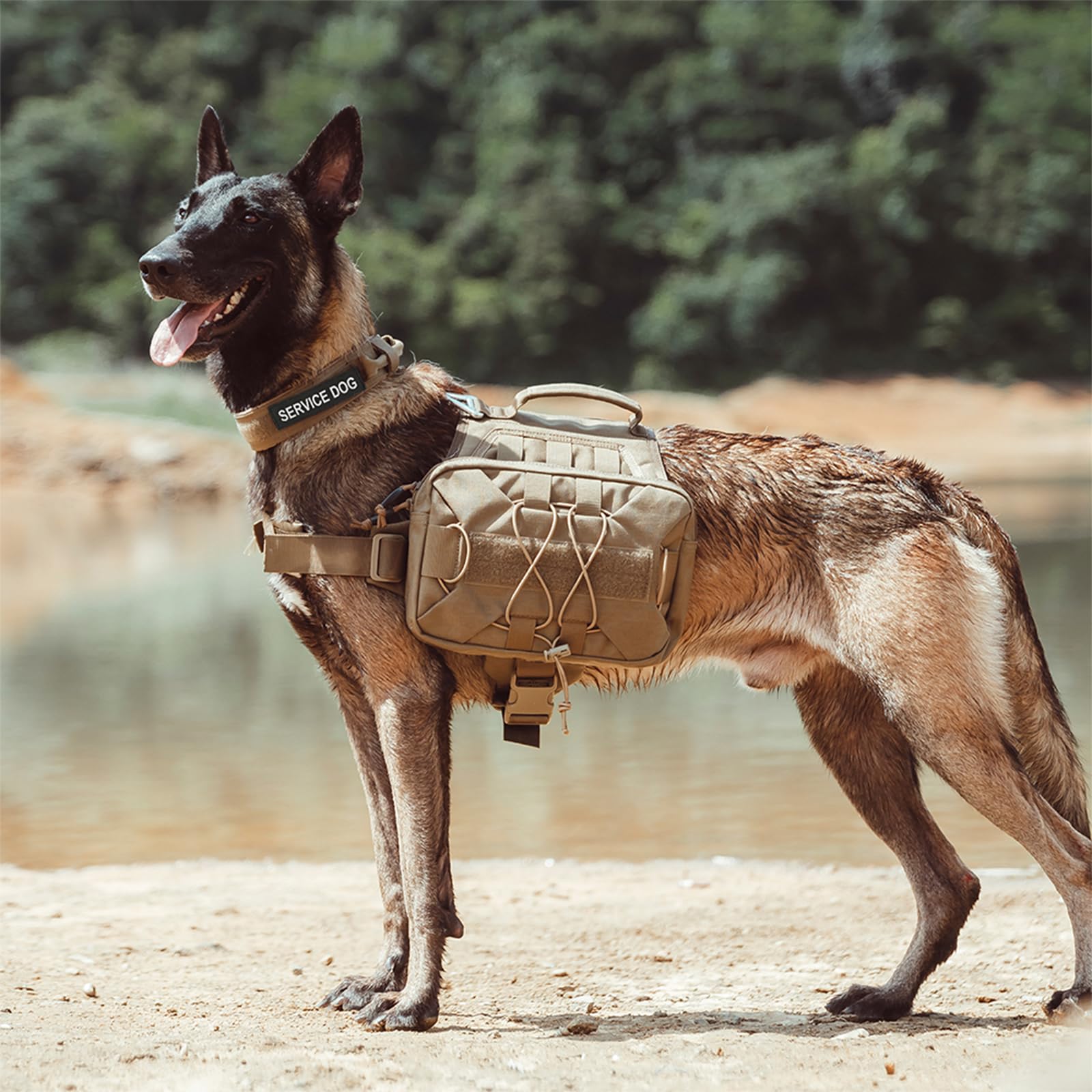 EXCELLENT ELITE SPANKER dog pack patch ID panel for customizable patches.