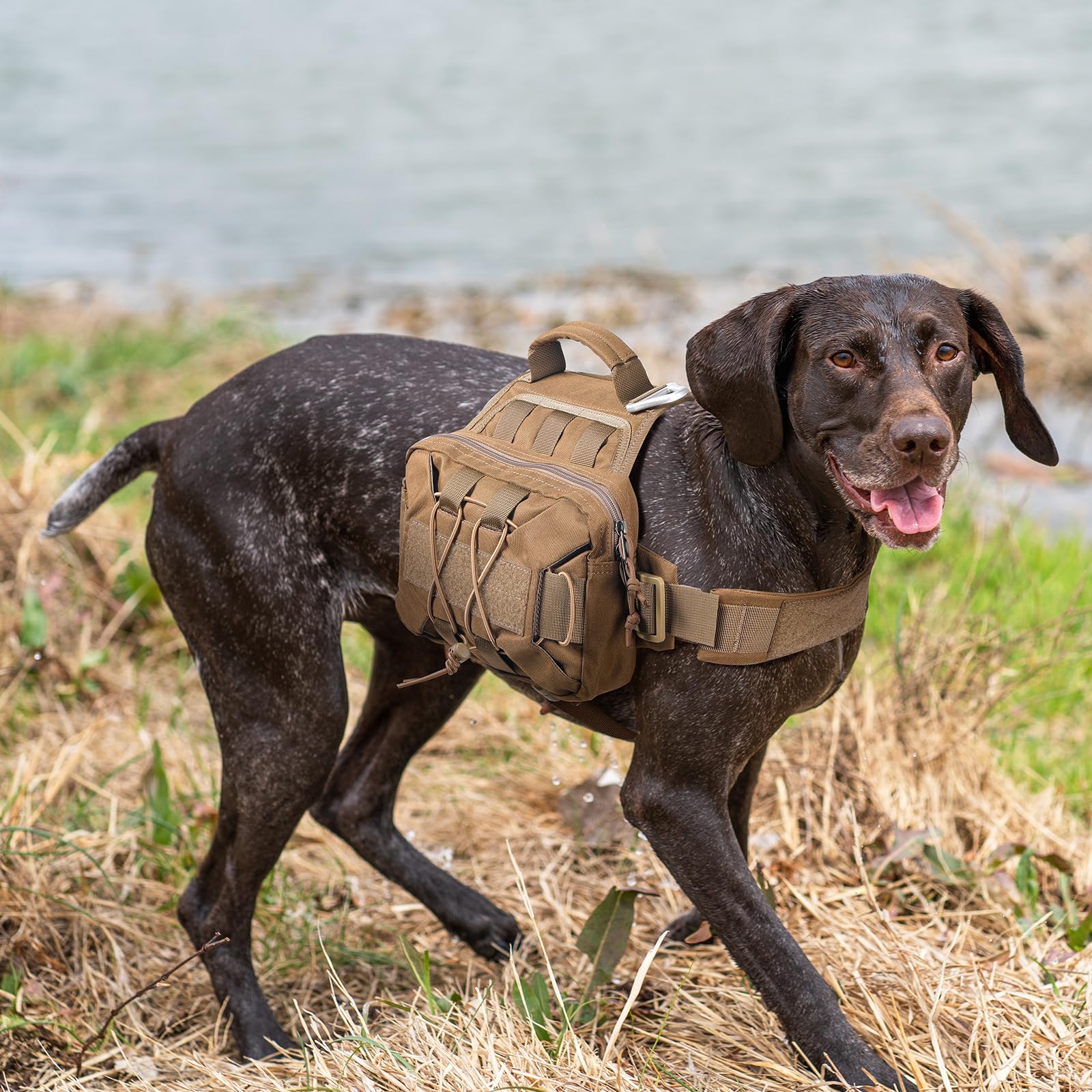 EXCELLENT ELITE SPANKER dog pack worn on dog during hikes for balanced load.