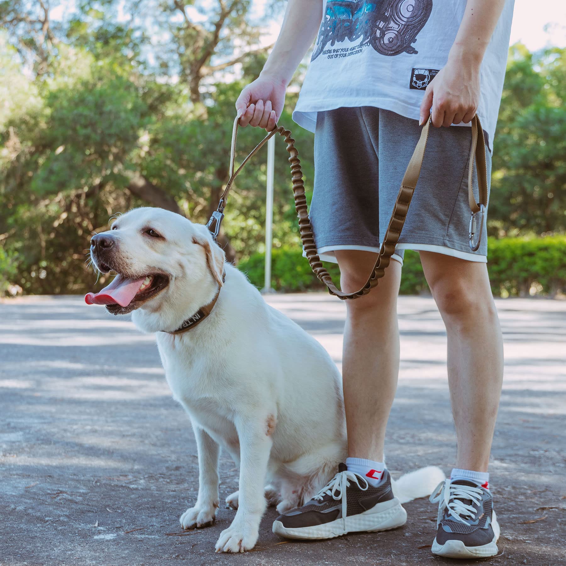 EXCELLENT ELITE SPANKER tactical bungee leash training and daily walking scenario.