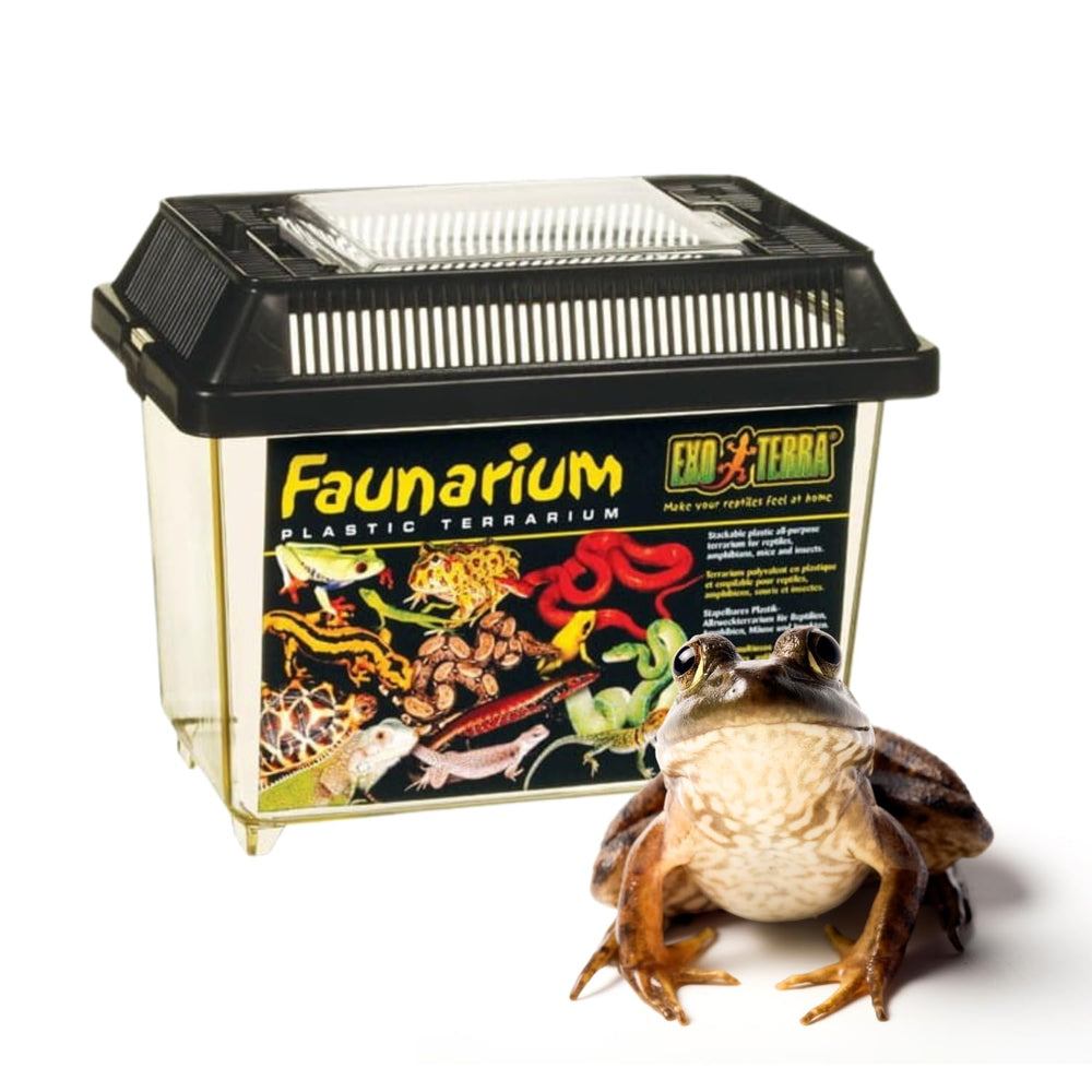 Exo Terra Faunarium stackable design saves space during storage.
