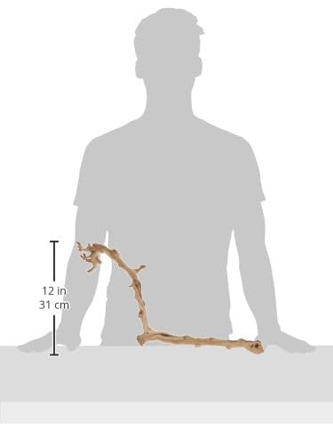Exo Terra Forest Branch Large terrarium layout showing rainforest and desert versatility.