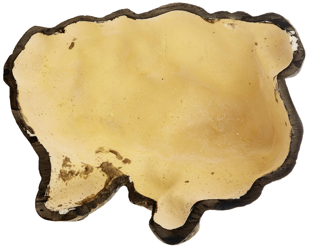 Exo Terra Reptile Cave Large side view emphasizes stable, tip-resistant hide.