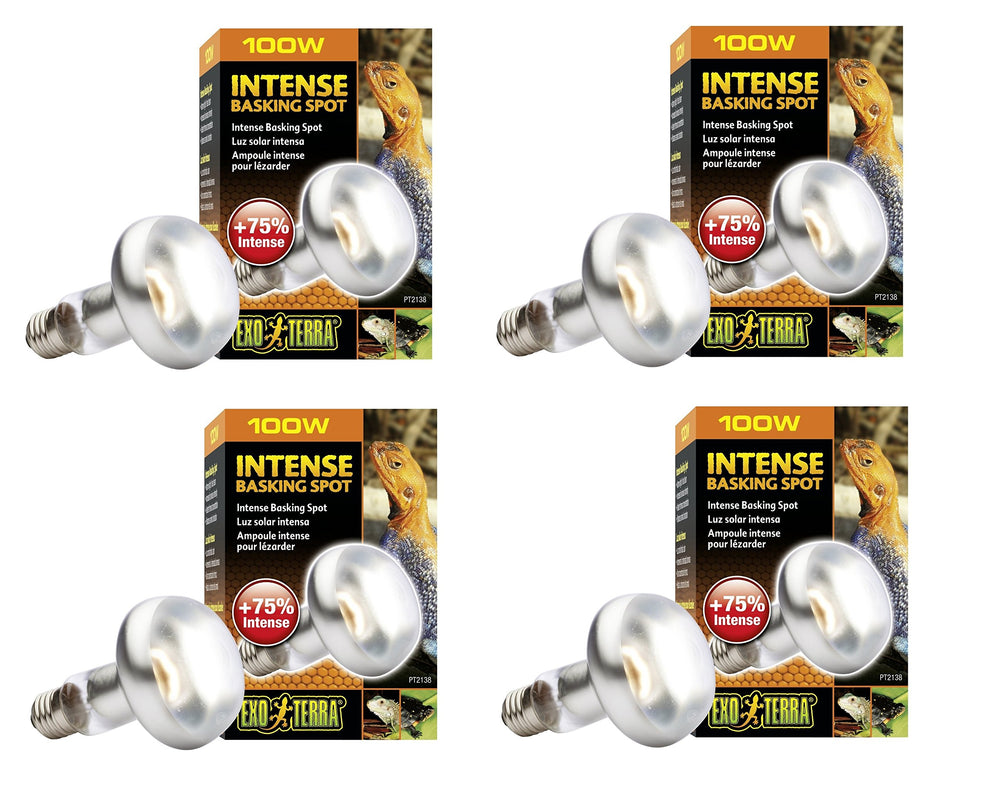 Exo Terra Sun-Glo basking spot lamp focuses heat for reptile thermoregulation and UVA exposure
