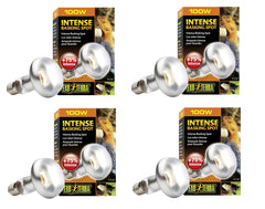 Exo Terra Sun-Glo basking spot lamp focuses heat for reptile thermoregulation and UVA exposure