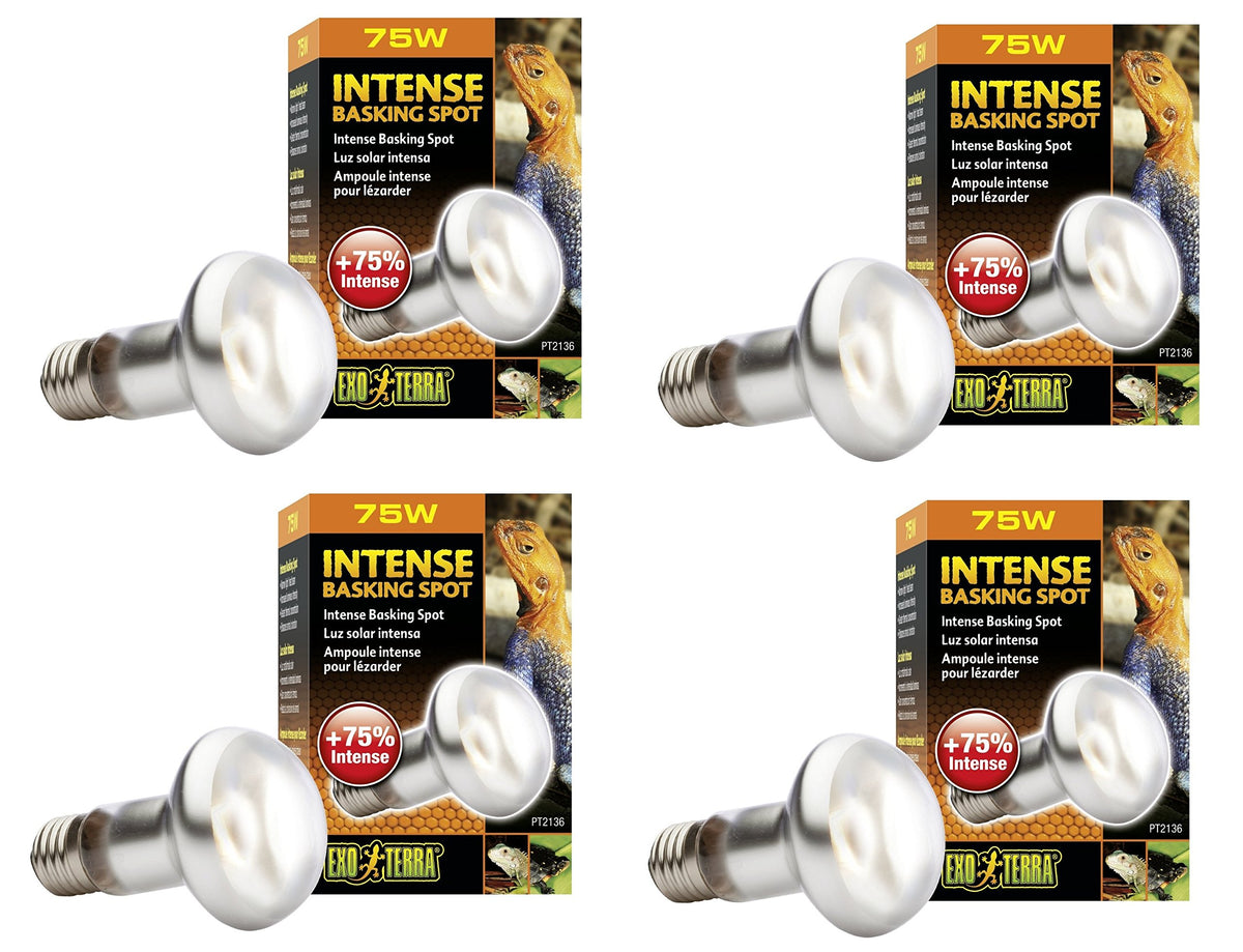 Exo Terra Sun-Glo Basking Spot Lamp 75W—focused heat beam for reptile basking