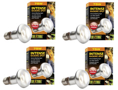 Exo Terra Sun-Glo Basking Spot Lamp 75W—focused heat beam for reptile basking
