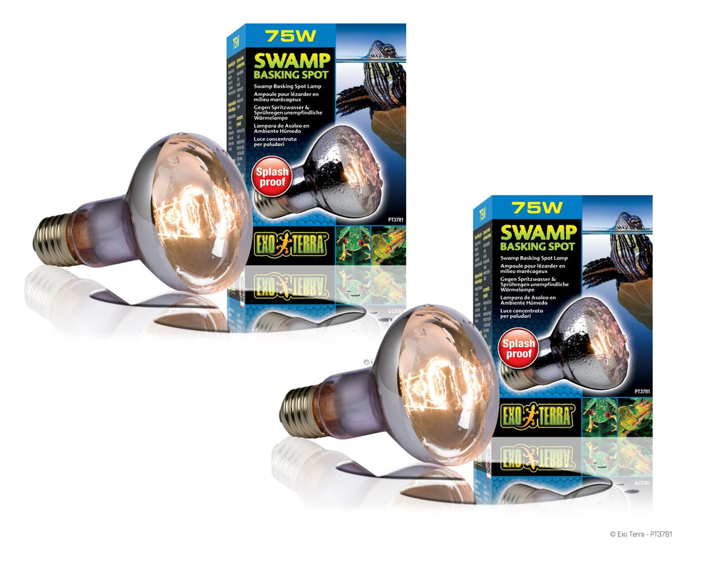 Exo Terra Swamp Glo lamp in terrarium provides heat and light for humid habitats