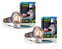 Exo Terra Swamp Glo lamp in terrarium provides heat and light for humid habitats