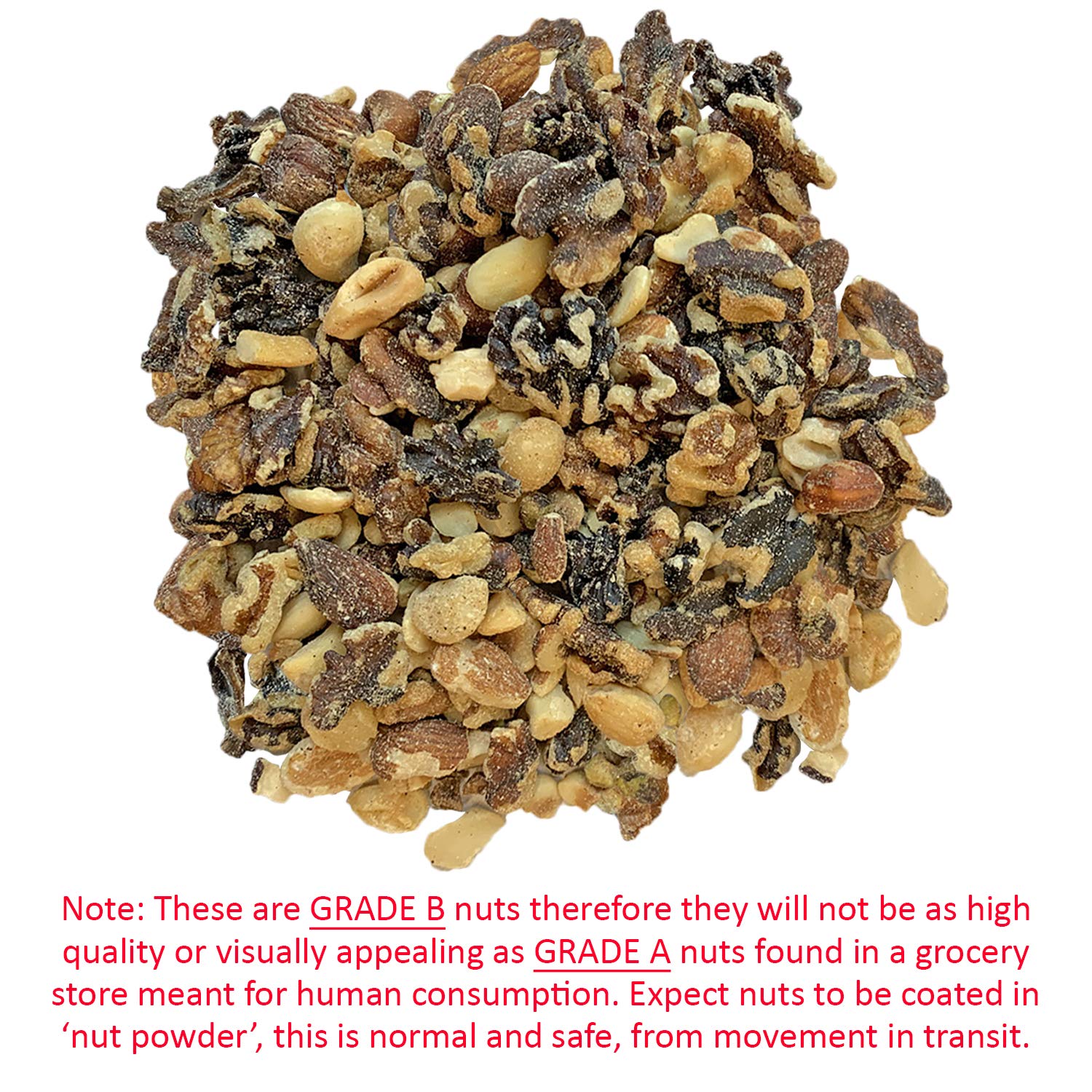 Exotic Nutrition Premium Nut Mix foraging-toy use supports exploration and play