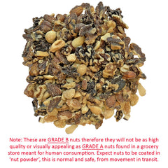 Exotic Nutrition Premium Nut Mix foraging-toy use supports exploration and play