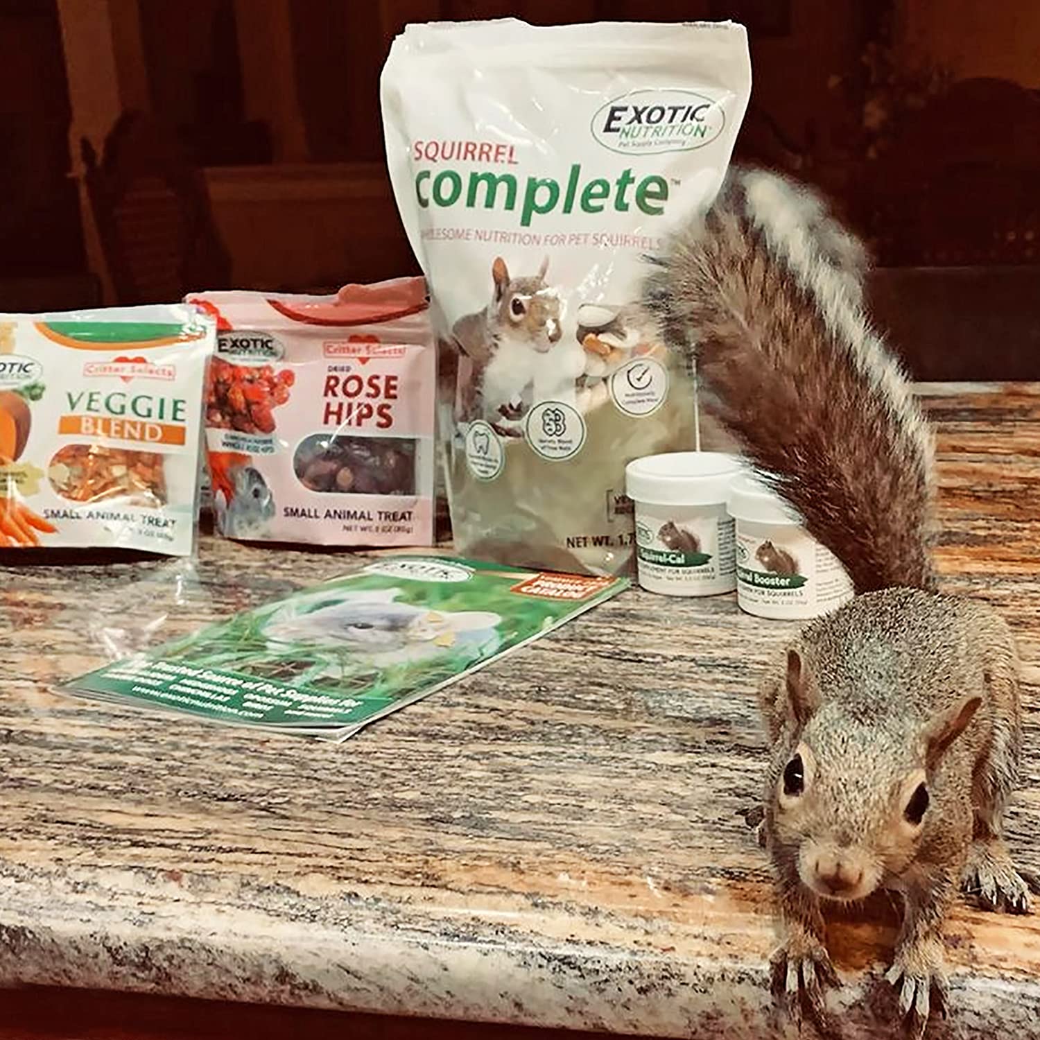 Exotic Nutrition all-breed-sizes image emphasizes versatility for various squirrels
