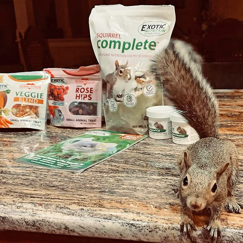 Exotic Nutrition all-breed-sizes image emphasizes versatility for various squirrels
