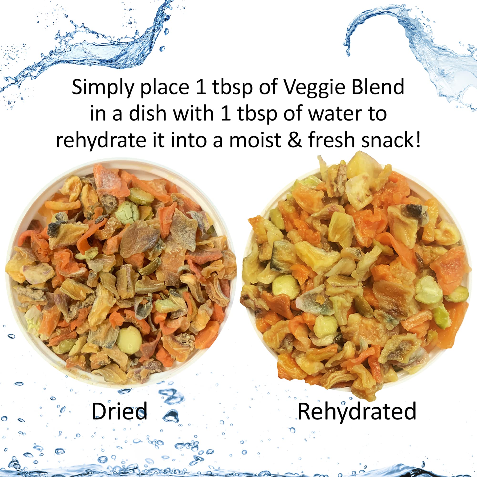 Exotic Nutrition all-life-stages image demonstrates universal suitability