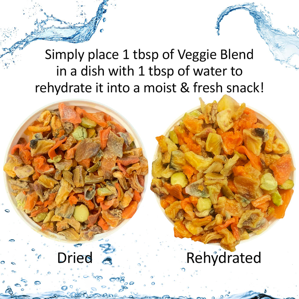 Exotic Nutrition all-life-stages image demonstrates universal suitability