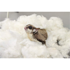 Exotic Nutrition: textura sin tintes, cama ecológica suave para mascotas.