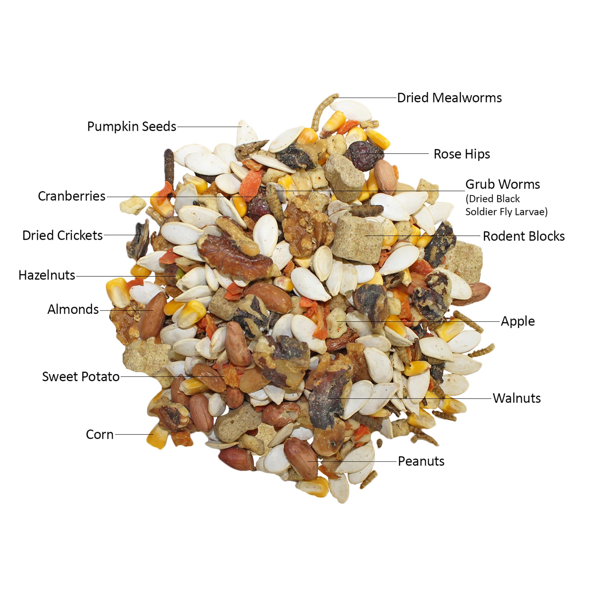 Exotic Nutrition complete-diet image showcases balanced nutrition for squirrels