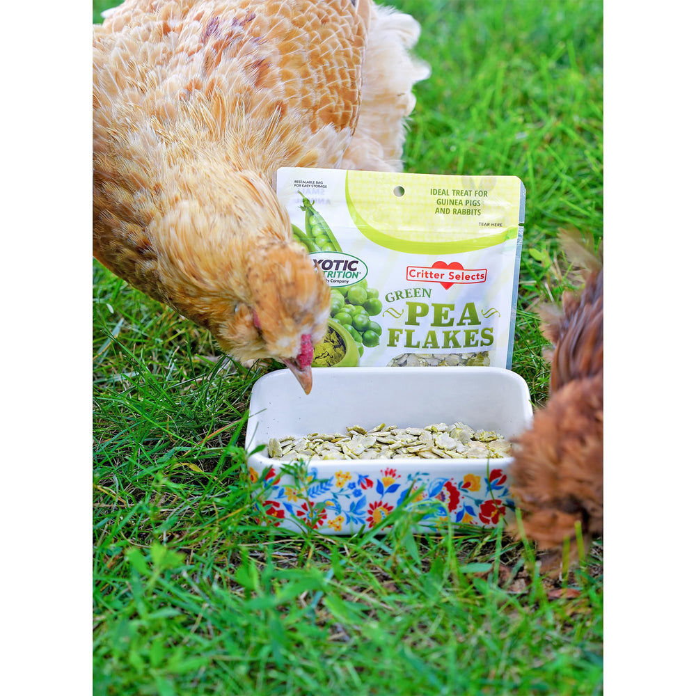 Exotic Nutrition Green Pea Flakes ingredients-label close-up for informed feeding