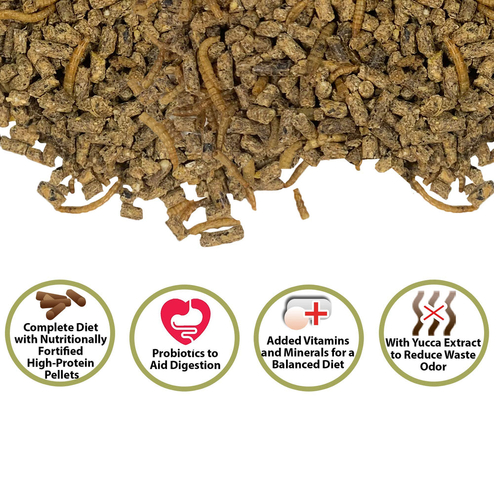 Exotic Nutrition Hedgehog Complete pellets close-up highlights high-protein formula with grains and mealworms