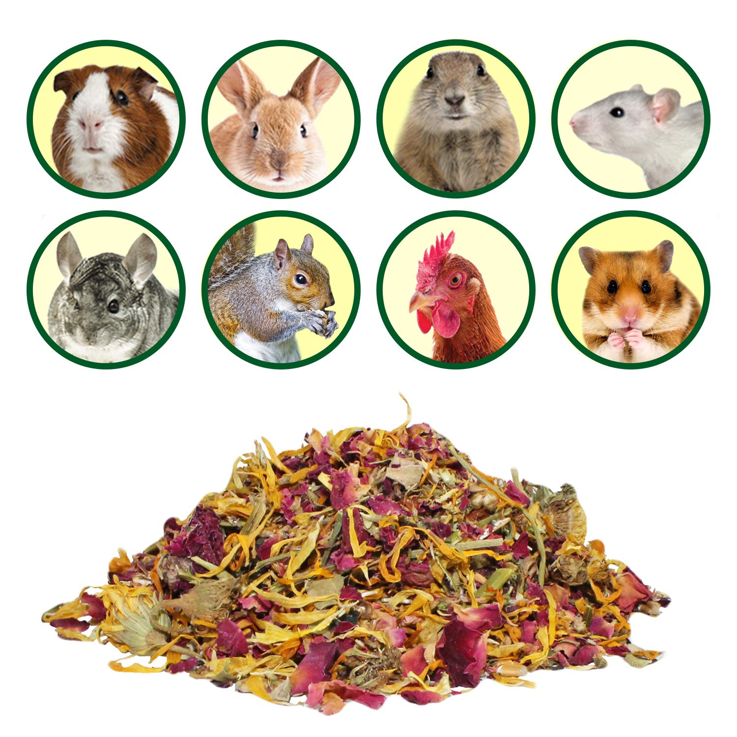 Exotic Nutrition Herbivore Treats 6 Pack dental-exercise image highlights chewing and jaw engagement.