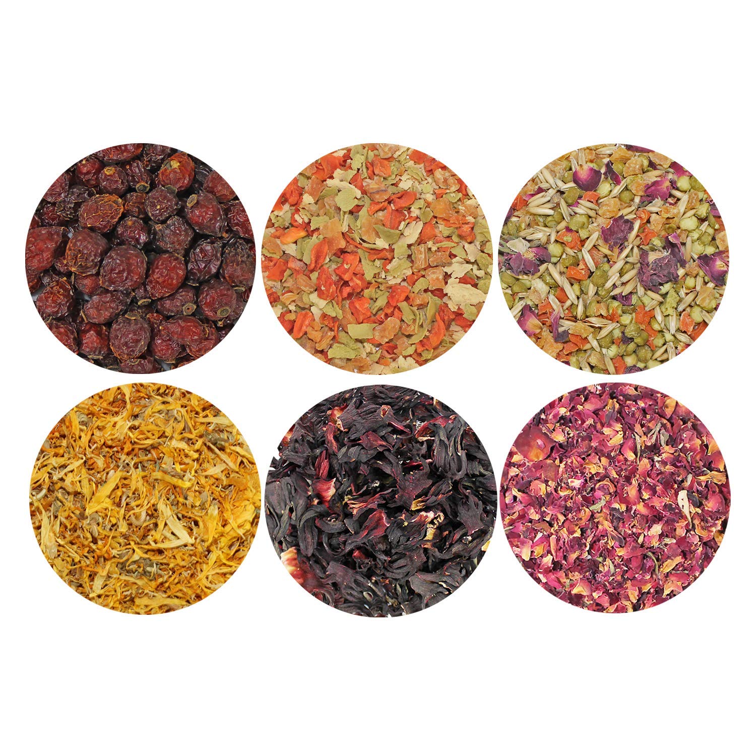Exotic Nutrition Herbivore Treats 6 Pack suitable-pets image shows multiple small mammals benefiting together.
