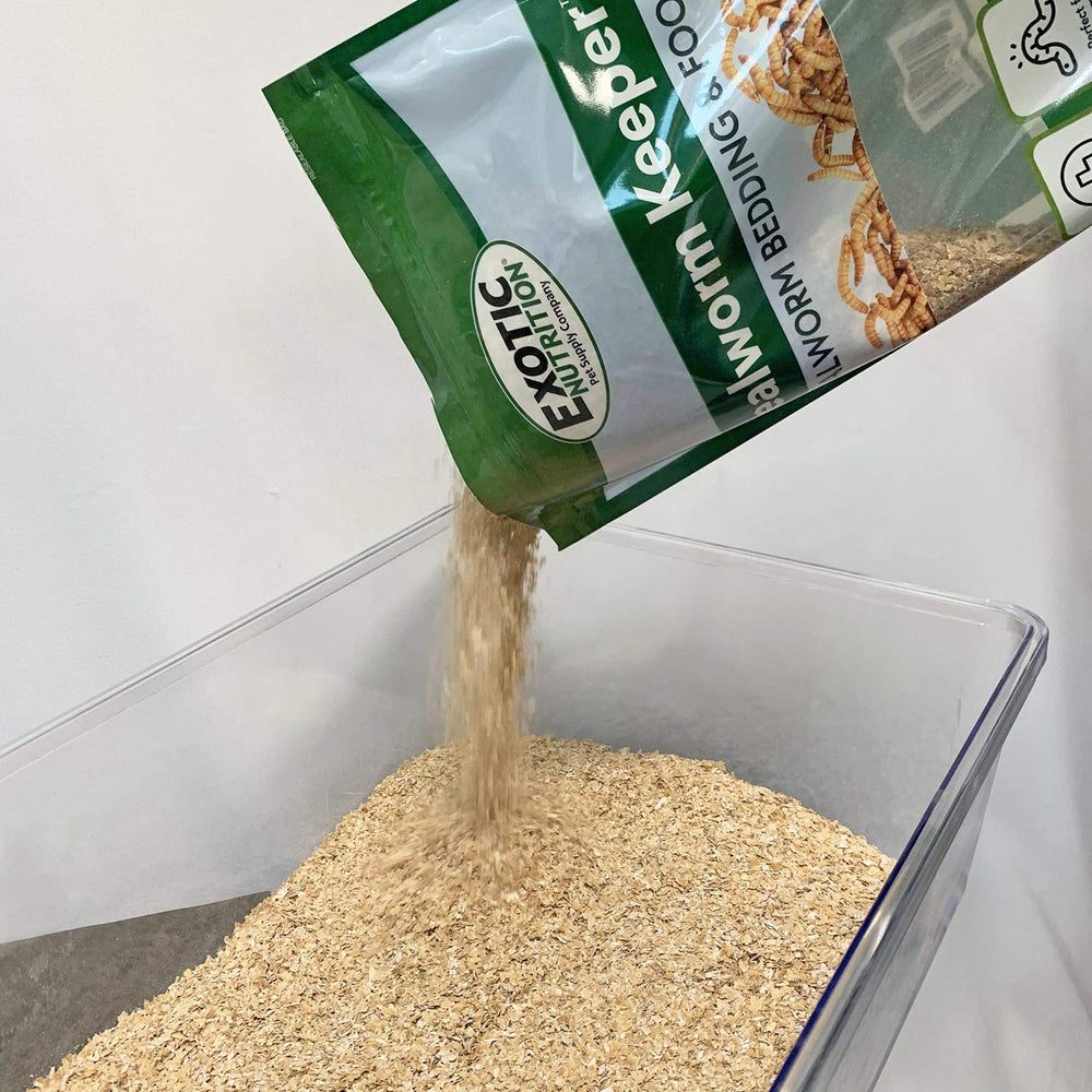 Exotic Nutrition Mealworm Keeper pack of 2 front view, convenient starter for breeders.
