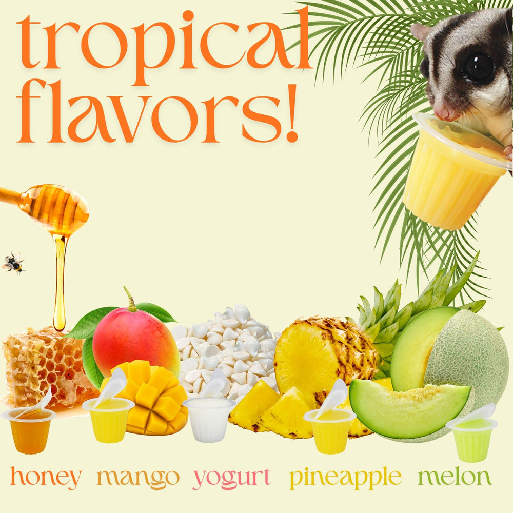Nectar Pods promote bonding and enrichment for small pets.