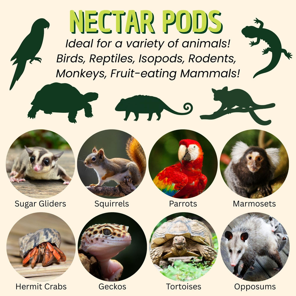 Nectar Pods used as a training treat to reinforce behavior.