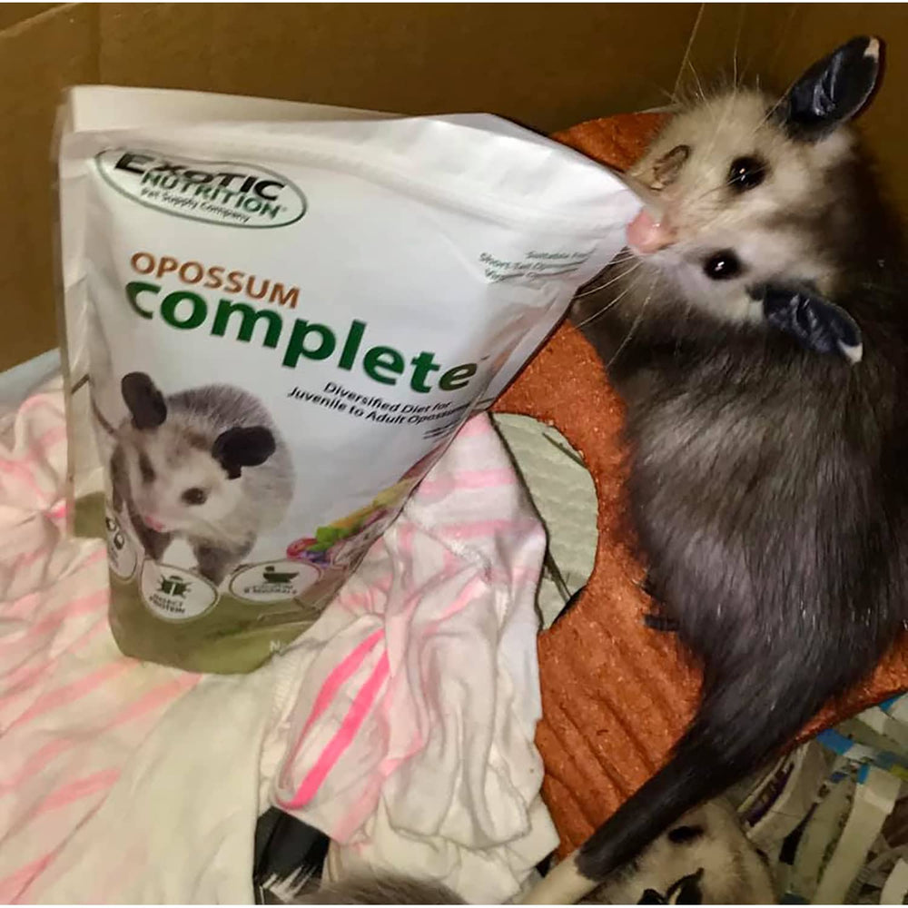 Exotic Nutrition Opossum pellet-texture-detail highlights easy-to-dispense pellets.