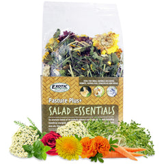 Exotic Nutrition Pasture Plus+ Salad Essentials bag shows natural high-fiber treat for healthy small-pet diets.