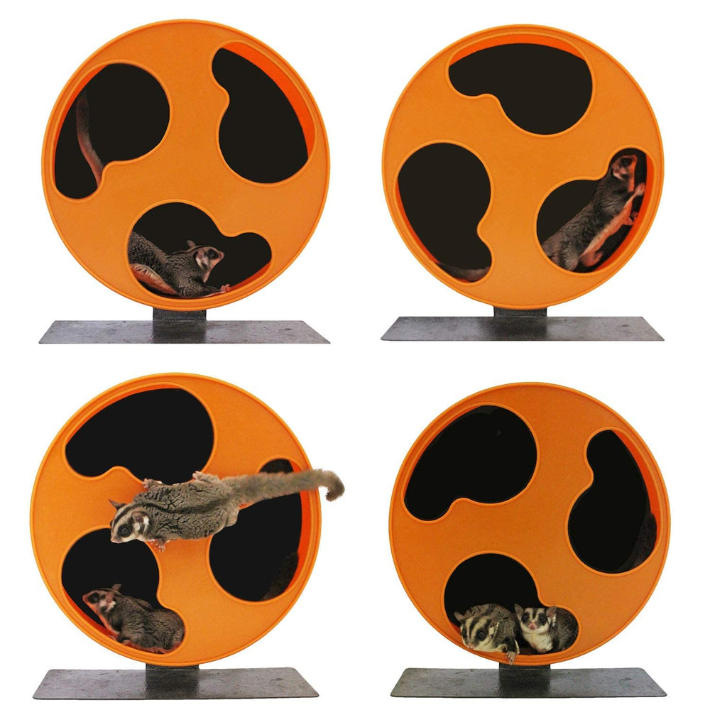 Exotic Nutrition Silent Runner 12 inch Regular hamster use for larger pets.