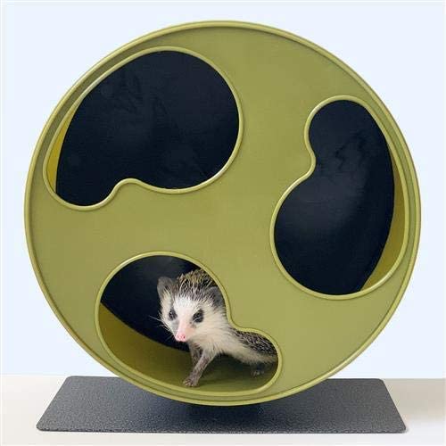 Exotic Nutrition Silent Runner open bean-shaped openings detail enhances pet access.