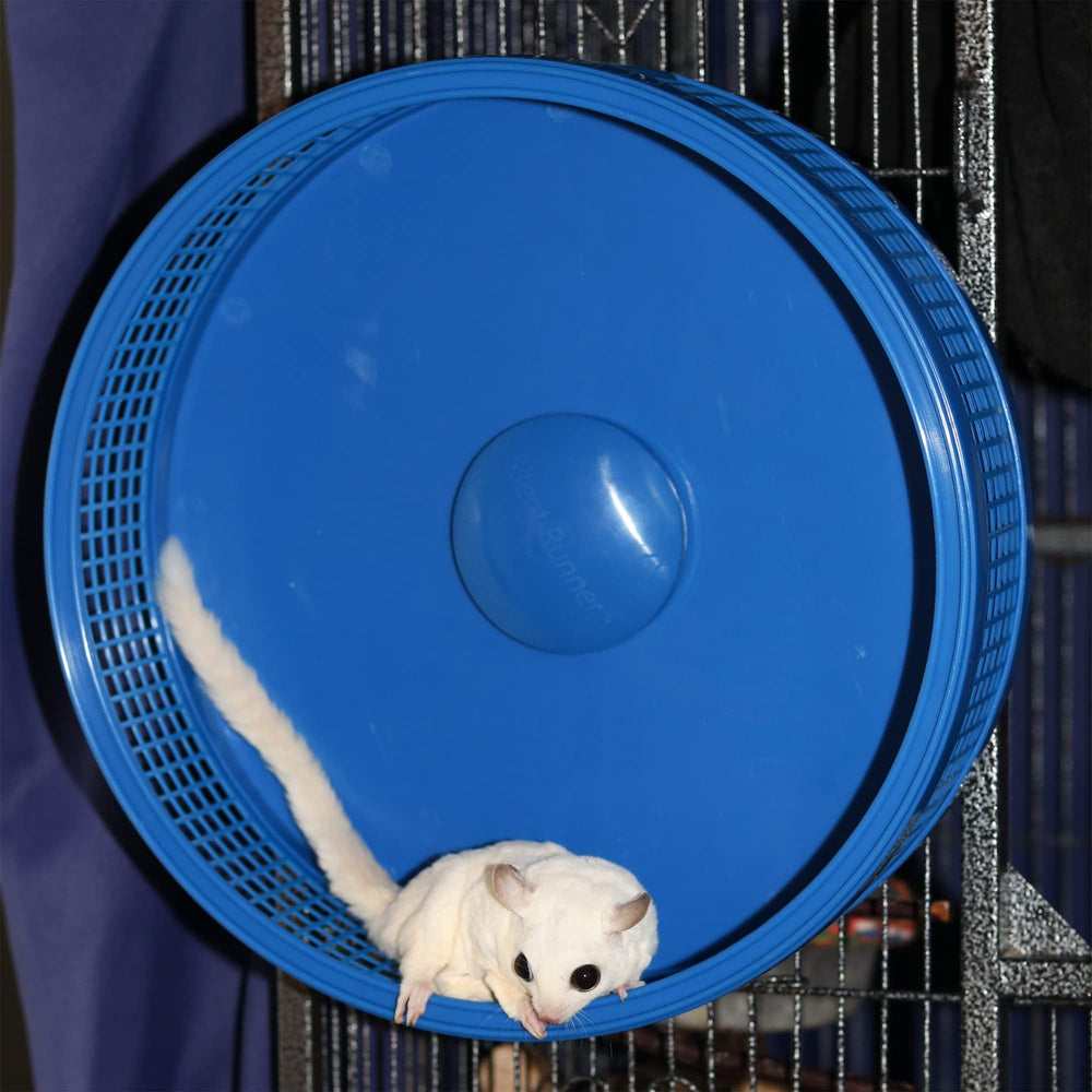 Exotic Nutrition Silent Runner Pro wheel dual-ball bearing ensures smooth, quiet operation during play.