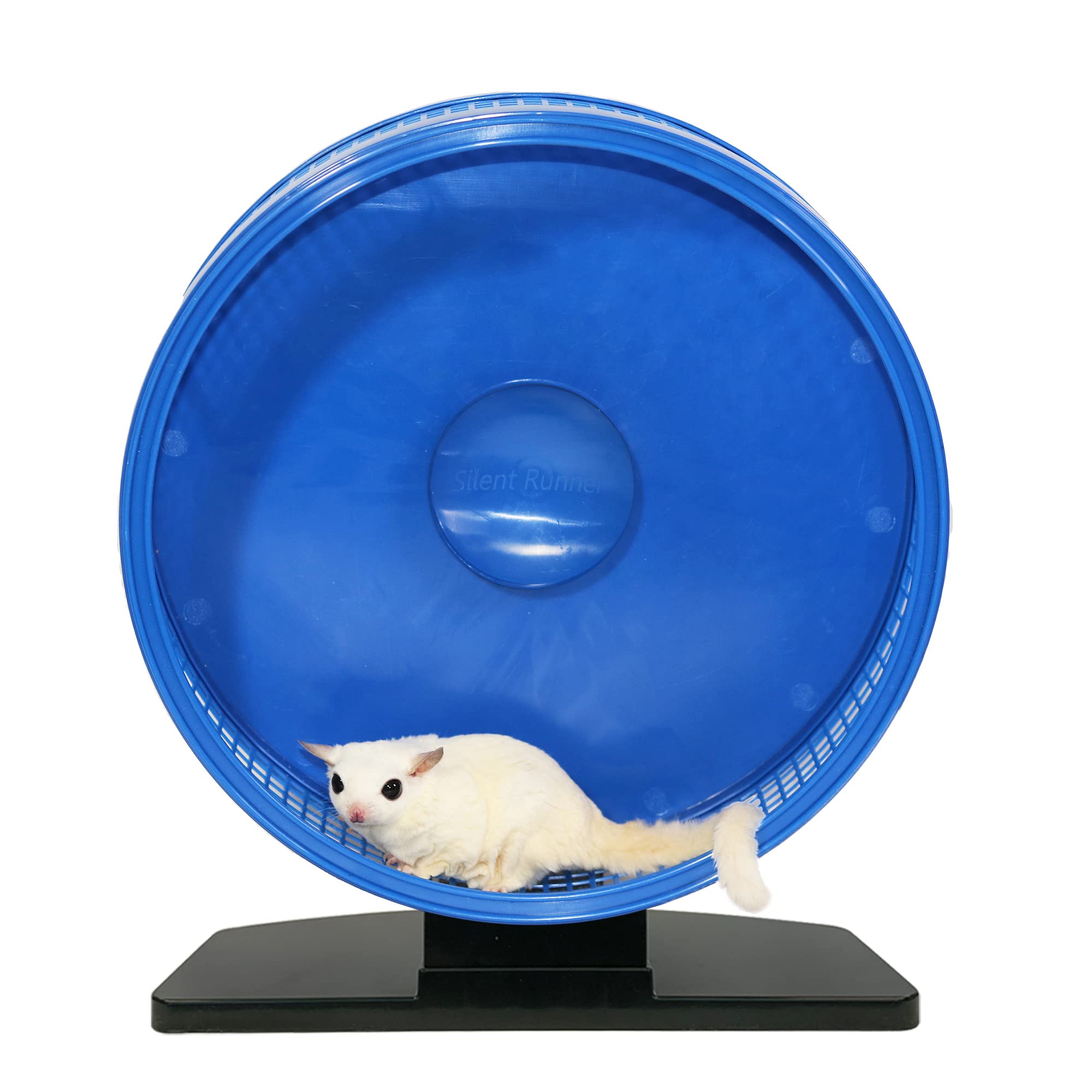 Exotic Nutrition Silent Runner Pro wheel sugar glider use promotes enrichment and daytime activity.
