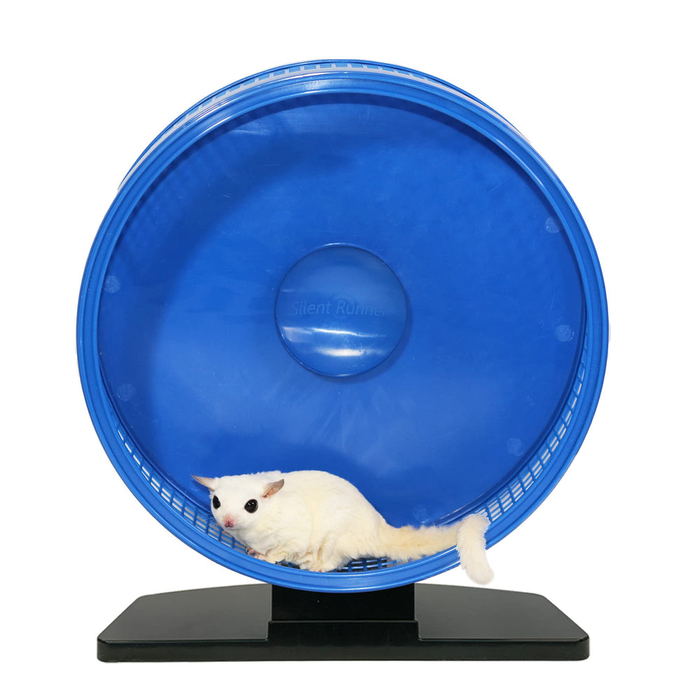 Exotic Nutrition Silent Runner Pro wheel sugar glider use promotes enrichment and daytime activity.